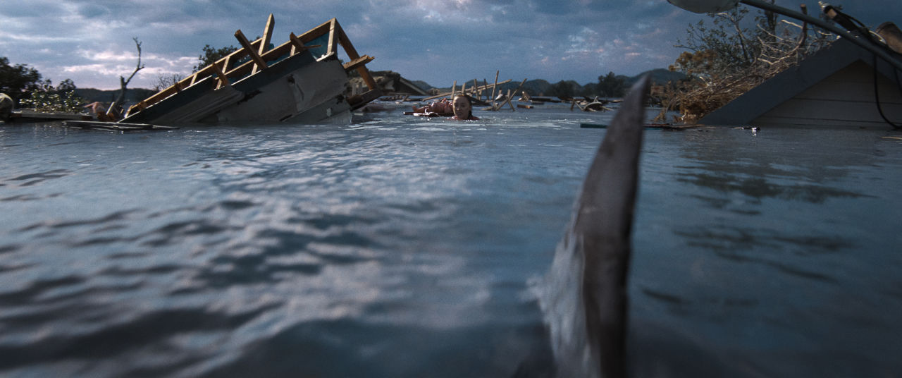 Where Was 'Thrash' Filmed? Discover the Netflix Shark Movie's Real-Life Locations